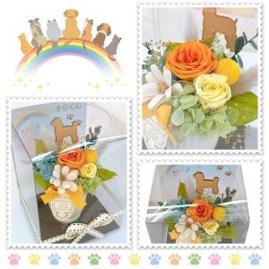 プリザーブドフラワー ドライフラワー ペット用...の詳細画像5