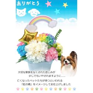 生花 ペット レインボーカーネーション お悔や...の詳細画像3