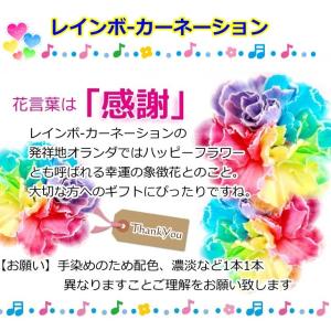 生花 スヌーピー レインボーカーネーション バ...の詳細画像3