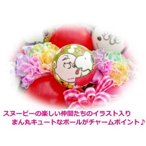 生花 スヌーピー レインボーカーネーション バ...の詳細画像4