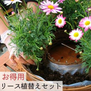 リース植替えセット ペルー産水苔A級150g＋ リース専用土5L×6袋 （ハンギング用）
