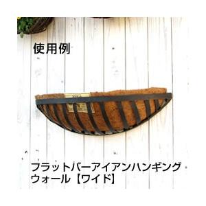 交換用 ヤシマット ココファイバー 壁掛け ワ...の詳細画像2