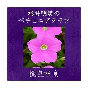 杉井明美の ペチュニア 桃色吐息 3.5号 花苗の詳細画像1