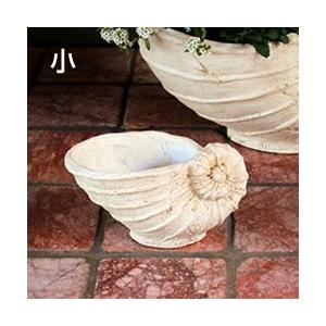 貝型鉢 アンモナイト フラワーベース小（3416）