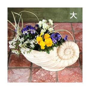 貝型鉢 アンモナイト フラワーベース大（3415）
