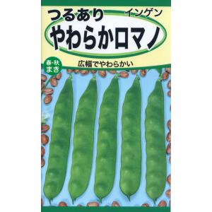 野菜の種 つるなしえんどう ネクスト スナップエンドウ 大さやエンドウ