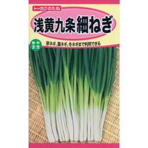 野菜の種 ネギ 万能小ねぎ スリム 4袋まで送料73円 優良配送は