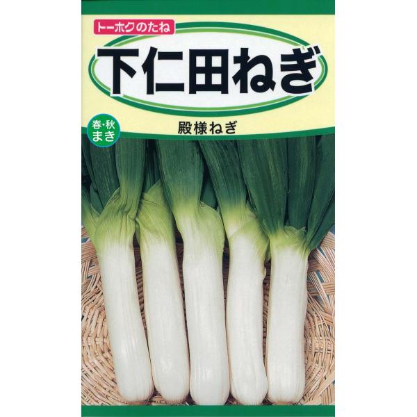 野菜の種 下仁田ネギ ねぎ 殿様ネギ ４袋まで送料７３円 優良配送はクリップポストで送料185円