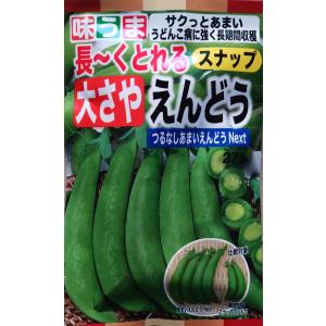 野菜の種 つるなしえんどう ネクスト スナップエンドウ 大さやエンドウ 送料７３円　優良配送は クリップポストで送料185円