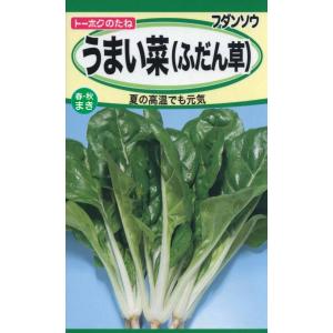 野菜の種 うまい菜 ふだん草 優良配送のクリップポストで１０袋まで送料１５０円
