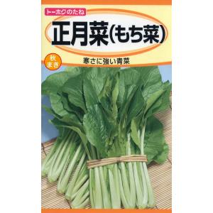 野菜の種 正月菜 もち菜 ２袋まで送料７３円 優良配送はクリップポストで送料185円
