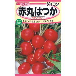 野菜の種 赤丸はつか大根 ラディッシュ 優良配送はクリップポストで１０袋まで送料１５０円