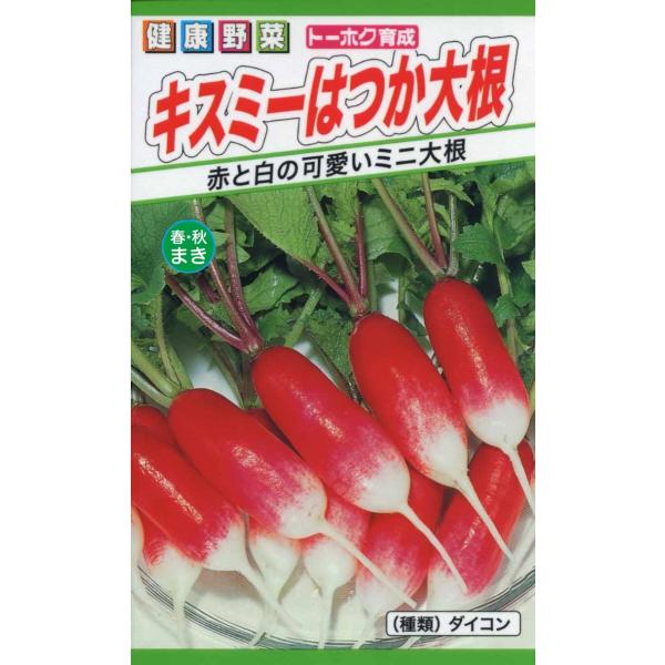 野菜の種 キスミーはつか大根 ラディッシュ ２袋まで送料７３円 優良配送はクリップポストで送料185...