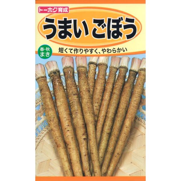 野菜の種 うまいごぼう ゴボウ ４袋まで送料７３円 優良配送はクリップポストで送料185円