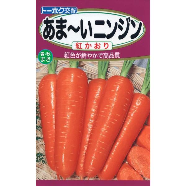 野菜の種 人参 紅かおり ニンジン ４袋まで送料７３円 優良配送はクリップポストで送料185円