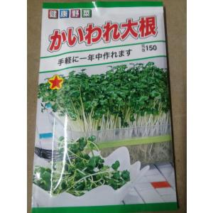 野菜の種 カイワレ大根 スプラウト 健康野菜 かいわれ大根 優良配送のクリップポストで10袋まで送料１５０円 かいわれ