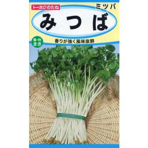 野菜の種 みつば 三つ葉 ４袋まで送料７３円 優良配送はクリップポストで１０袋まで送料185円