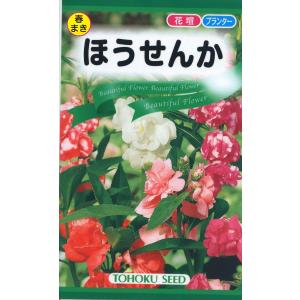 花の種 ほうせんか 優良配送のクリップポス トで１０袋まで送料１５０円