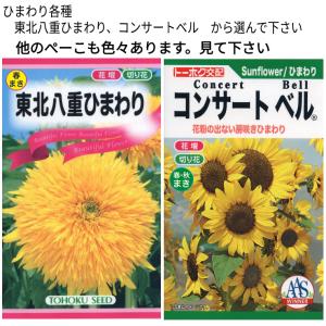 ひまわりお取引 つまみ細工 水引 季節飾り ひまわり 【満開】 - メルカリ