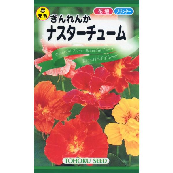 花の種 ナスターチューム きんれんか ４袋まで送料７３円  優良配送はクリップポス トで送料185円