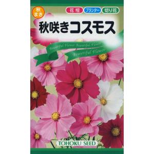 コスモス キャンパスブライトカラーミックス 小袋 2ml入り 郵便発送