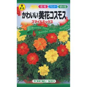 春まきの種 かわいい黄花コスモス スマイルミックス 優良配送のクリップポス トで１０袋まで送料１５０円
