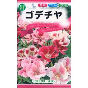 花の種 ゴデチャ ゴテチャ 優良配送のクリップポ...の商品画像