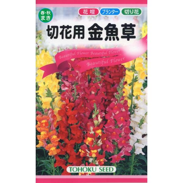 花の種 切り花用金魚草 ４袋まで送料７３円 優良配送はクリップポス トで送料185円 