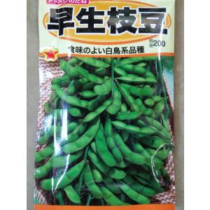 えんどう ホンダ（HONDA）1998年 Live Dio ZX・カラーチェンジの