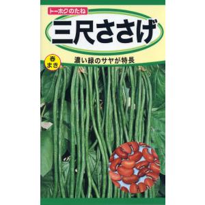 野菜の種 三尺ささげ 暑さに強い ４袋まで送料７３円 優良配送はクリップポストで１０袋まで送料185円