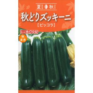 野菜の種 秋どりズッキーニ ピッコラ 優良配送のクリップポストで１０袋まで送料１５０円