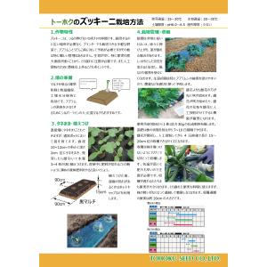 野菜の種 秋どりズッキーニ ピッコラ 優良配送...の詳細画像3