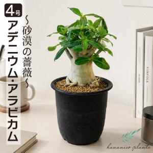 景徳鎮花瓶 故宮蔵磁複製 清朝同治 青花人物紋瓶 : 中国貿易公司ctc