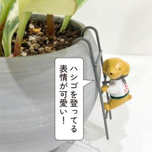 ガーデンピック ガーデニング 雑貨 オーナメン...の詳細画像5