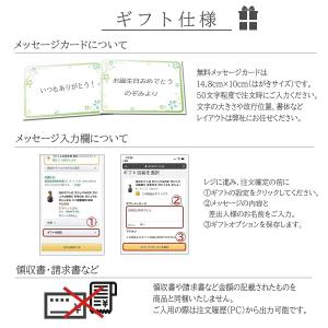 ヤシの木 観葉植物 アレカヤシ 本物 大型 ヤ...の詳細画像2