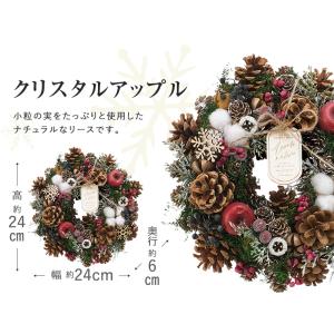クリスマスリース Mサイズ ナチュラル ドライ...の詳細画像4