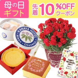 母の日 プレゼント 2026 花 ギフト カーネーション 鉢植え 花鉢 5号 鉢 鉢植 お花 鉢花 スイーツ 花とスイーツ おしゃれ 5号鉢 お菓子 文明堂 カステラ