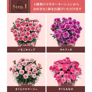 母の日 プレゼント 2026 花 ギフト カー...の詳細画像1