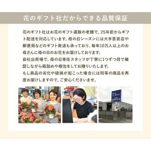 父の日 花 ギフト プレゼント 2026 花 ...の詳細画像5