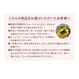 父の日 花 ギフト プレゼント 2026 花 ...の詳細画像3