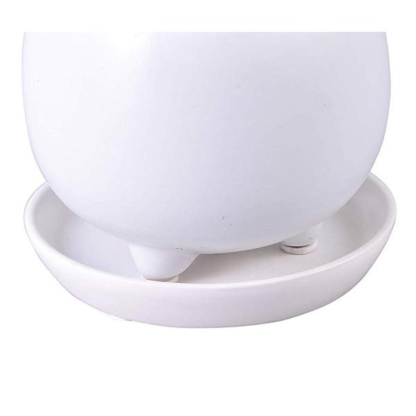 【セットで購入品】 陶器鉢皿 鉢皿 受皿 受け皿 陶器 3号 観葉植物