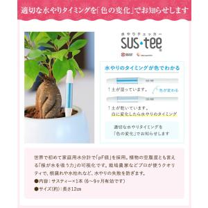 サスティー s SUSTEE 水やりチェッカー...の詳細画像1