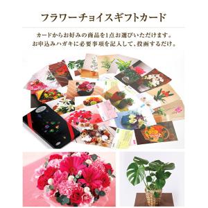 カタログギフト アクイユ リリーコース るりコ...の詳細画像1