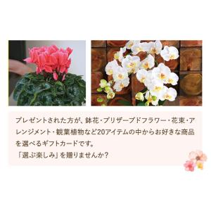カタログギフト アクイユ リリーコース るりコ...の詳細画像2