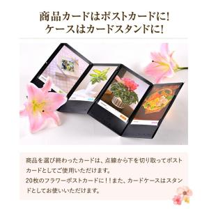 カタログギフト アクイユ リリーコース るりコ...の詳細画像3