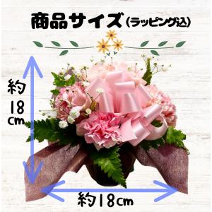 母の日 2026 花 送料無料 カーネーション...の詳細画像1