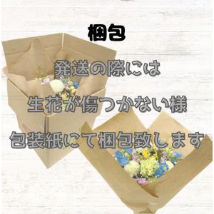 母の日 2026 花 送料無料 カーネーション...の詳細画像5