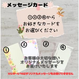母の日 2026 花 送料無料 カーネーション...の詳細画像3