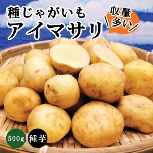 野菜・種/苗 ［春じゃがいも種芋］春植えじゃがいも種芋 ジャガイモ