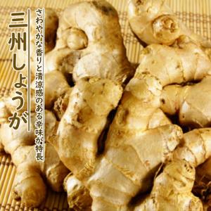 種生姜 栽培 【 三州 しょうが 】 中国産 約1ｋｇ ショウガ 生姜 種 球根 ginger 家庭菜園 初心者向け プランター 花の大和｜hananoyamato-online